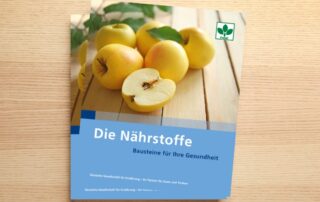 Dekoratives Foto der Broschüre "Die Nährstoffe. Bausteine für Ihre Gesundheit". Abgebildet auf einem Holzuntergrund.