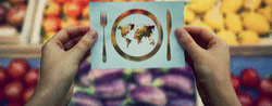 Deutsche Gesellschaft für Ernährung e.V.