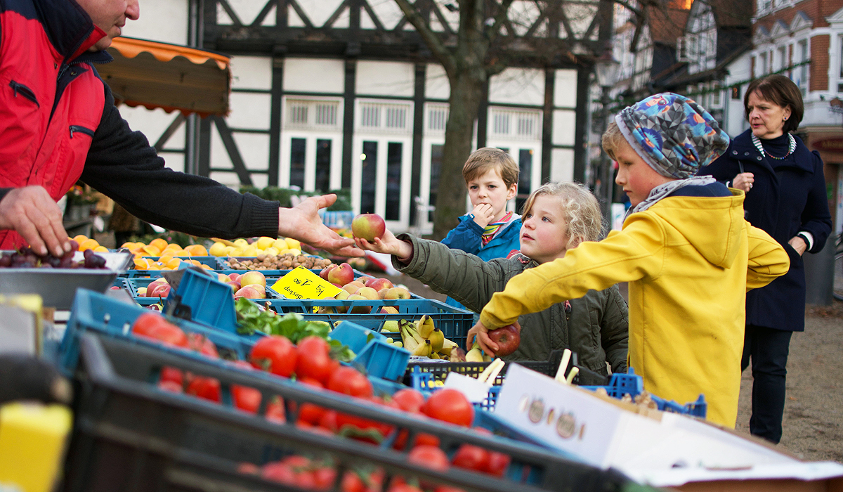 Deutsche Gesellschaft für Ernährung e.V. - Sektion Niedersachsen - Lebensmittelwertschaetzung