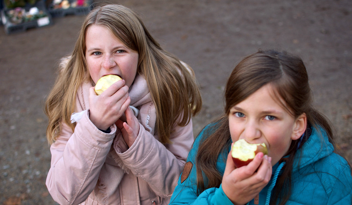 Deutsche Gesellschaft für Ernährung e.V. - Sektion Niedersachsen