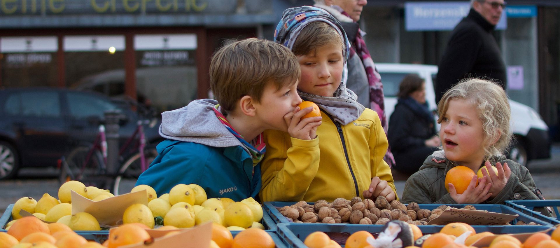 Deutsche Gesellschaft für Ernährung e.V. - Sektion Niedersachsen