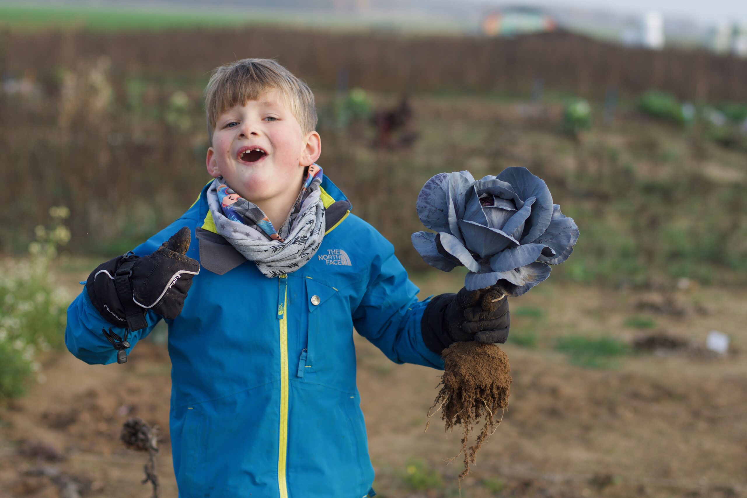 Deutsche Gesellschaft für Ernährung e.V. - Sektion Niedersachsen