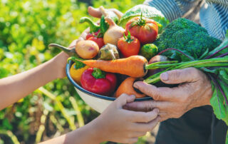 Übergabe einer mit Gemüse gefüllten Schale zwischen einer jungen und alten Person