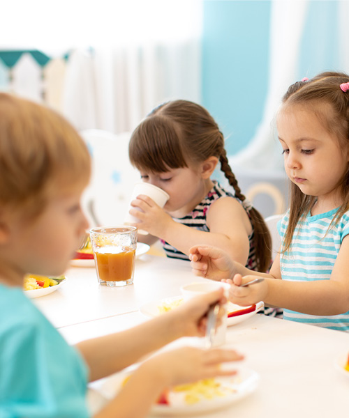 Deutsche Gesellschaft für Ernährung e.V. - Sektion Niedersachsen