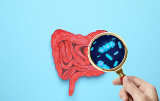 Zeichnerische Darstellung eines Darms, der mit einer Lupe betrachtet wird. In der Vergrößerung sind Darmbakterien sichtbar.