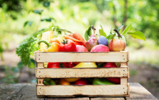 Deutsche Gesellschaft für Ernährung e.V. - Sektion Niedersachsen