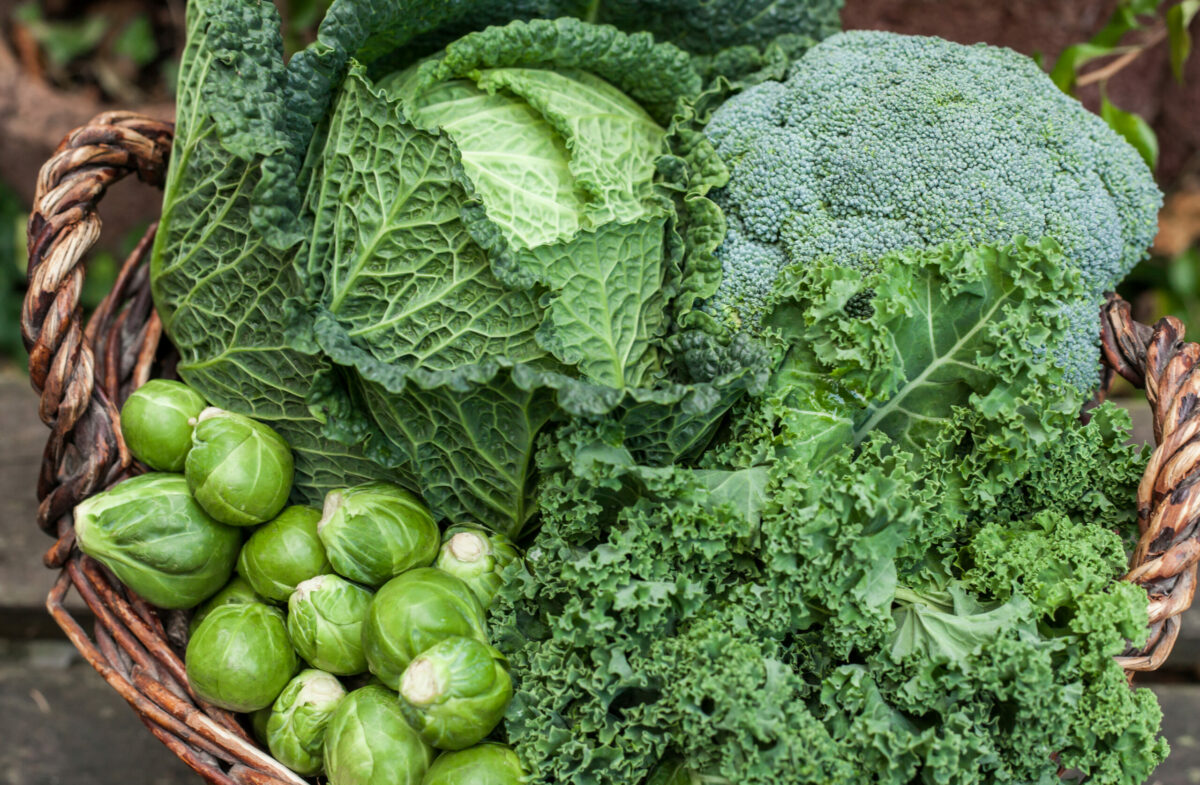 Deutsche Gesellschaft für Ernährung e.V. - Sektion Niedersachsen