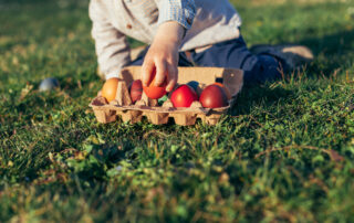 DGE-Sektion Niedersachsen