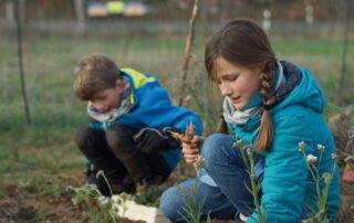 Kinder ernten Gemüse auf dem Feld